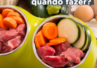 Alimentação_natural_feed