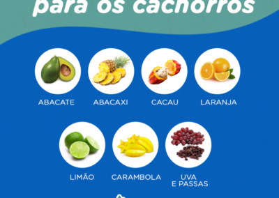 Frutas_proibidas_para_os_cachorros