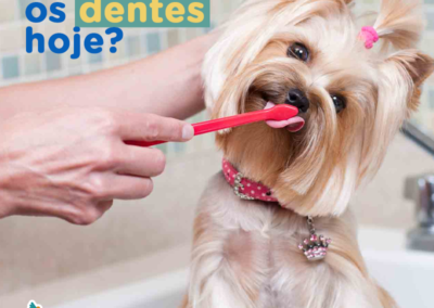 Já_escovou_os_dentes_hoje_feed