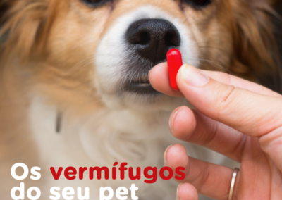 Os_vermífugos_do_seu_pet_estão_em_dia_feed