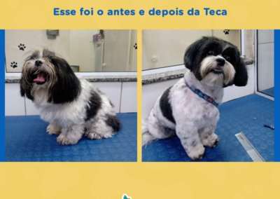 antes_e_depois_Teca_feed